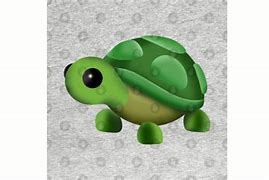 Image result for Pink Turtle AdoptMe