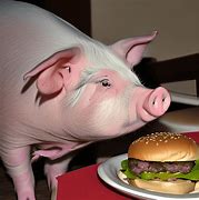 Image result for Pig Eating Meat