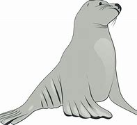 Image result for Sea Lion Sign Free Clip Art