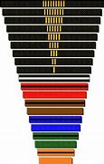 Image result for Belts in Taekwondo