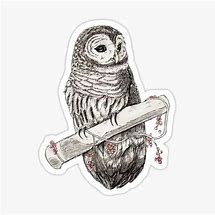 Image result for Barred Owl Gifts