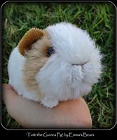 Image result for Guinea Pig Plushie