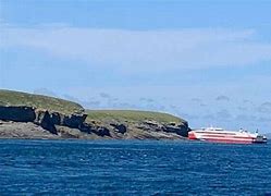 Image result for Orcadian Alfred On Swona Inside