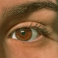 Image result for Chocolate Brown Eyes Male