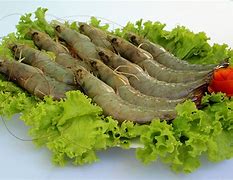 Image result for Hoso Dried Shrimp