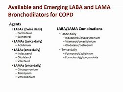 Image result for Lama Therapy