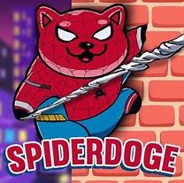 Image result for Spider Doge