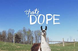 Image result for Kawaii Llama Desktop Wallpaper