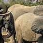 Image result for Ghana Tourist Attractions