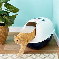 Image result for Covered Cat Litter Box