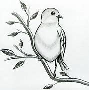 Image result for How to Drawing Bird