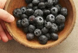 Image result for Blueberry Tip Borer