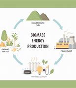 Image result for Picture of Biomass Energy Plant to Grid