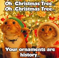 Image result for Christmas Memes Clean