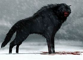 Image result for Aelurodon vs Dire Wolf