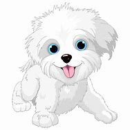 Image result for Maltese Clip Art