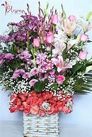 Image result for Back Bay Flowers