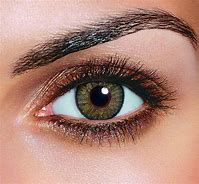 Image result for Dark Hazel Eyes