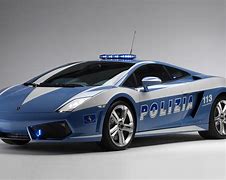 Image result for K9 Police Car