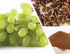 Image result for Hemp Oil Mixed with Grape Seed Extract