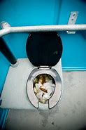 Image result for Toilet Paper Waste