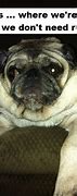 Image result for Pug Sayings