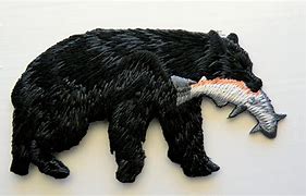 Image result for Black Bear Catch Fish