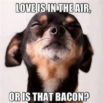 Image result for I Love You Dog Meme