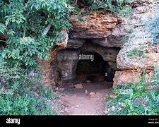 Image result for Inside Cave Forest