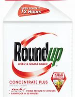 Image result for Spectrum Weed Killer Concentrate