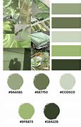 Image result for Aesthetic Sneakers Green