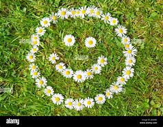 Image result for Flor Con Cara Felices