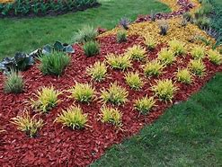 Image result for Mulch Pics