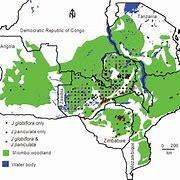 Image result for Mimbombia South West Africa