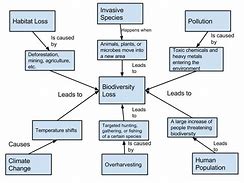 Image result for Biodiversity Diagram