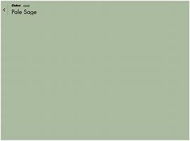 Image result for Muted Sage Dulux Paint