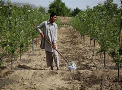 Image result for Agrarians Farming