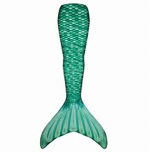 Image result for Mermaid Fin