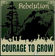 Image result for Rebelution Album