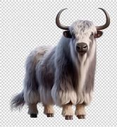 Image result for Bull Horns Wallpaper