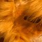 Image result for Orange Cat Mask