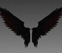 Image result for Angel Character Concept Shadow Wings