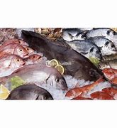 Image result for Ikan Laut Segar