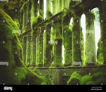 Image result for Ancient Old Moss-Covered City