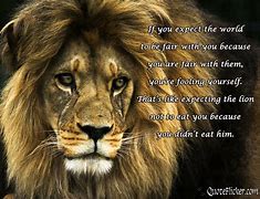 Image result for Motivational Lion Quotes Wallpaper