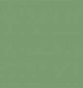 Image result for Puma Sage Green