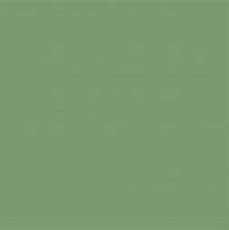 Image result for Sage Green Silk Paint