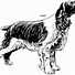 Image result for Dog Line Drawing