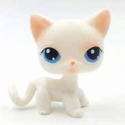 Image result for Littlest Pet Shop White Cat