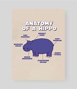 Image result for Hippo Anatomy